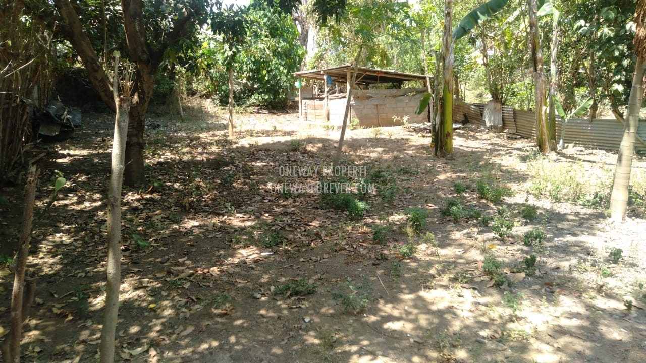 Tanah dijual di air terjun sekumpul Buleleng