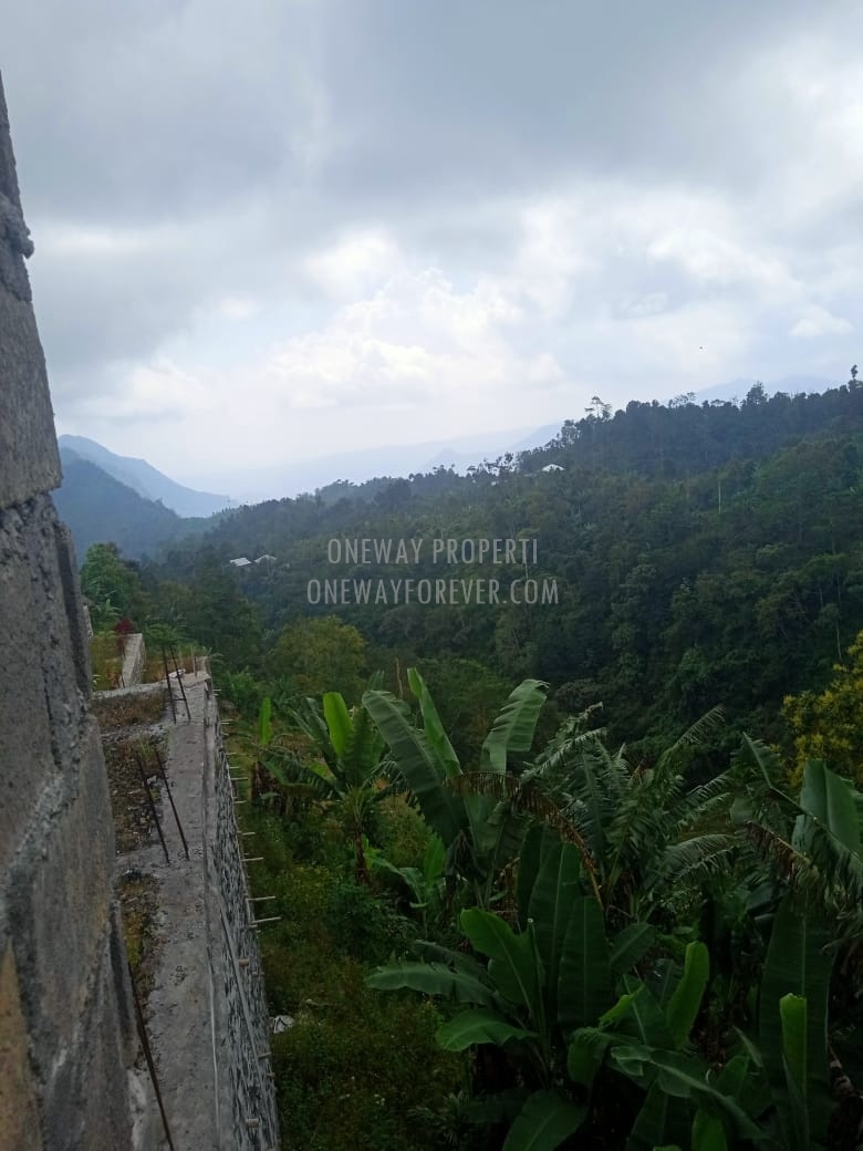 Tanah dijual di air terjun sekumpul Buleleng
