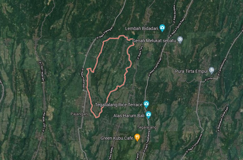 Tanah dijual di Bukian Payangan Gianyar